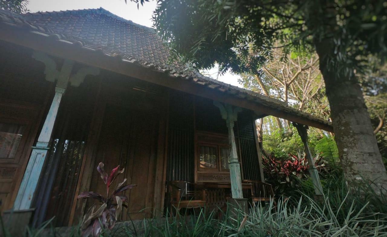 Sapulidi Cafe, Gallery & Resort Лембанг Екстериор снимка